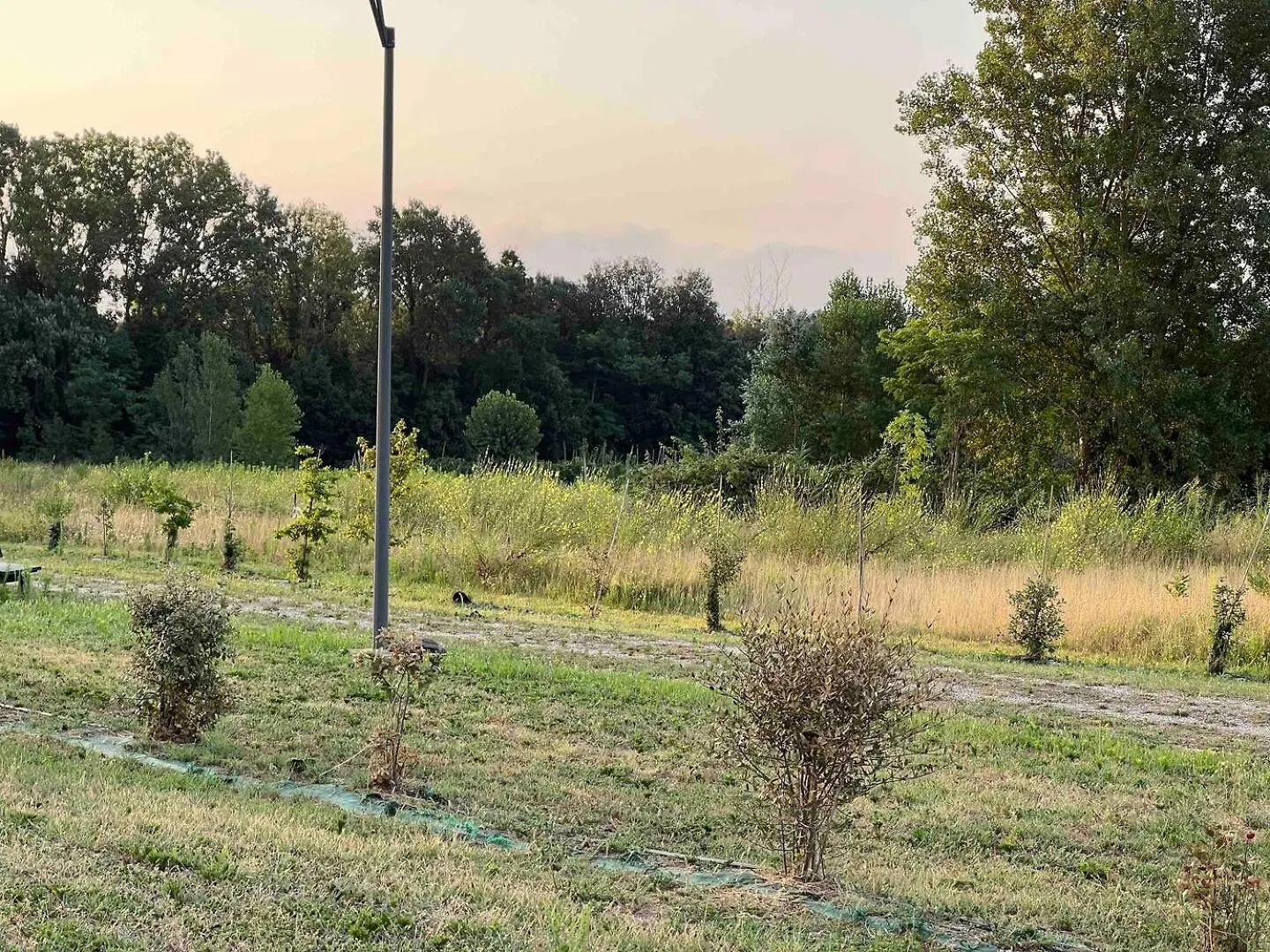 Apartamento Scacco Matto Lido di Scacchi